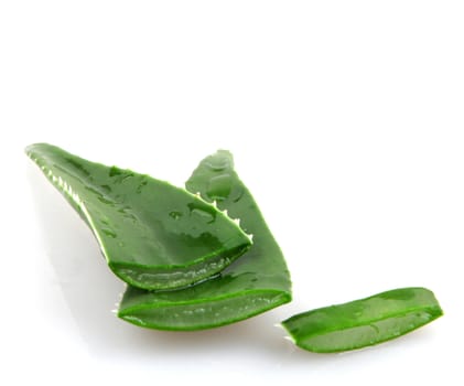 Aloe vera