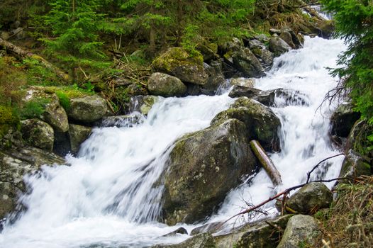 Cascades on mountain creek in forest