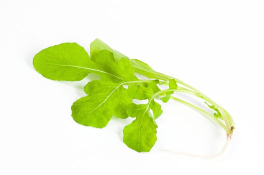 Ripe organic rocket salad (Eruca sativa) isolated on white