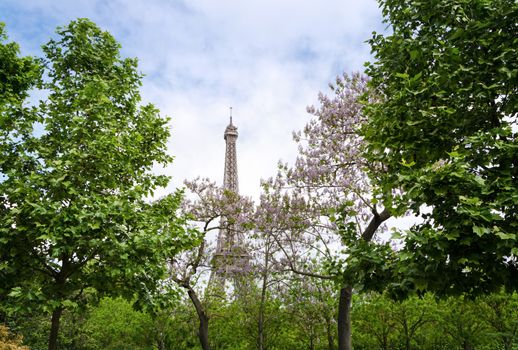 Eiffel Tower at Champ de Mars Garden in Paris, France 