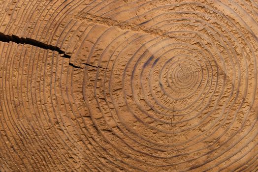 A flat shot of the texture and grain in a cut stump of a tree with a crack splitting it open from the side.