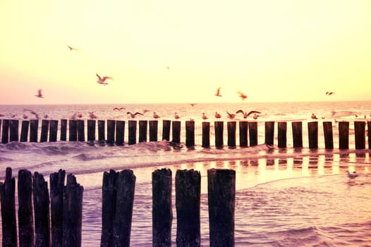 Gulls sitting on the breakwater. Sea.