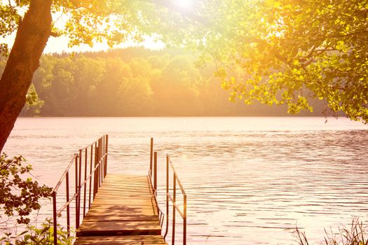 Beautiful bright day summer scenery. Lake and trees.