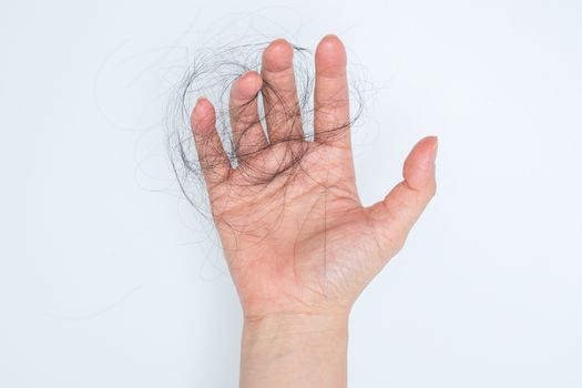 Hair loss in woman hand, on white background, women postpartum defluvium 
