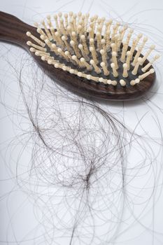 Hair loss problem on bruch, on white background, women postpartum defluvium 