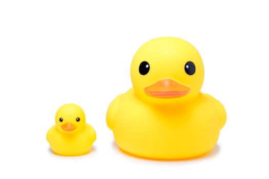 Yellow rubber duck toy in isolate white background, have big one and small one duck