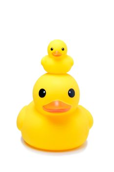 Yellow rubber duck toy in isolate white background, have big one and small one duck