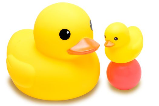 yellow rubber duck with colorful ball in isolate white background
