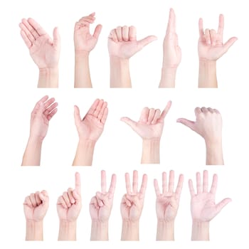 Collection of hands