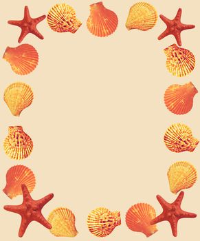 Frame of seashells and starfish around the edges on yellow sand background.