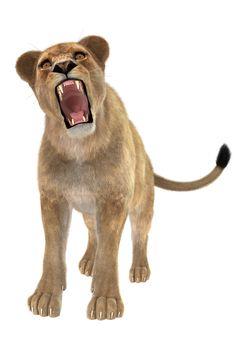 3D digital render of a female lion roaring isolated on white background