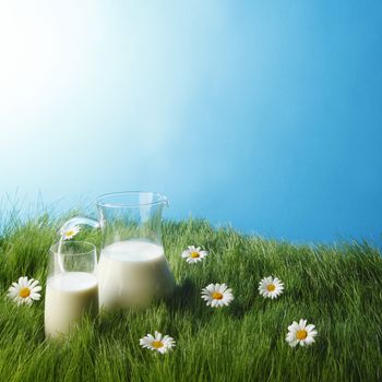 Milk jug and glass on fresh green grass with chamomiles