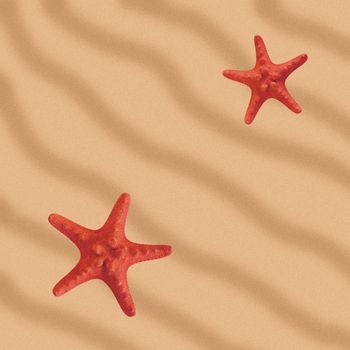 Two red starfish on yellow sand.