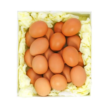 Eggs from chicken farm in the package