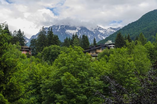 View of the Alps in Italy in summer