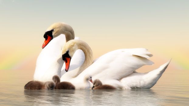 Swan family floating over water by sunset - 3D render