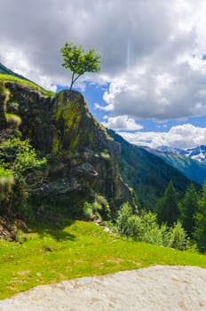 View of the Alps in Italy in summer