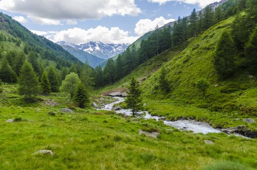 View of the Alps in Italy in summer