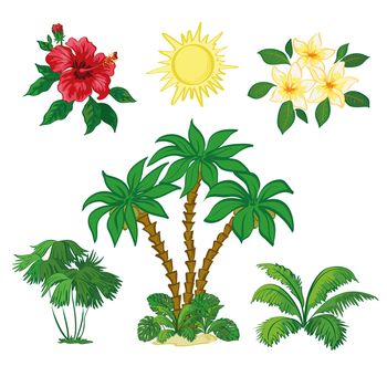 Exotic Set, Sun, Palm Trees, Hibiscus and Plumeria Flowers, Green Plants and Leaves Isolated on White Background. 