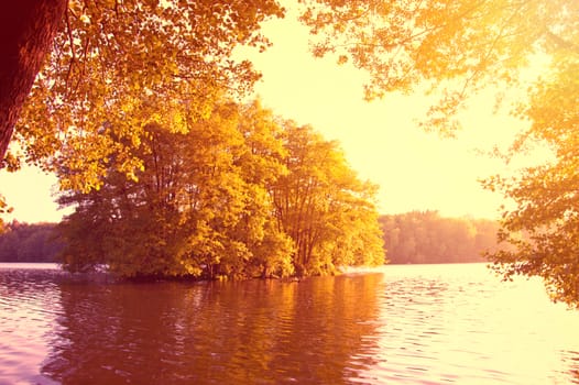 Lake and forest. Sundown over lake seen from the green forest.