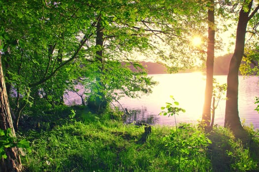 Lake and forest. Sundown over lake seen from the green forest.