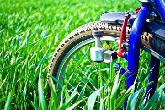 Sport and nature at summer. Bike on the green field with grass at summer.