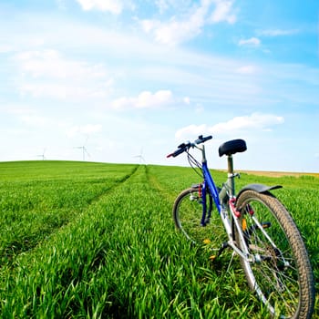 Sport and nature at summer. Bike on the green field with grass at summer.