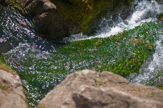 Mountain creek in summer siberian forest