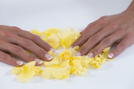 manucure hand in a middle of rose petals