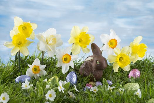 Easter eggs hiding in the grass with daffodil