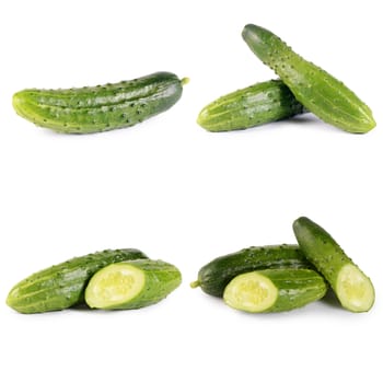 The fresh cucumber isolated on white background