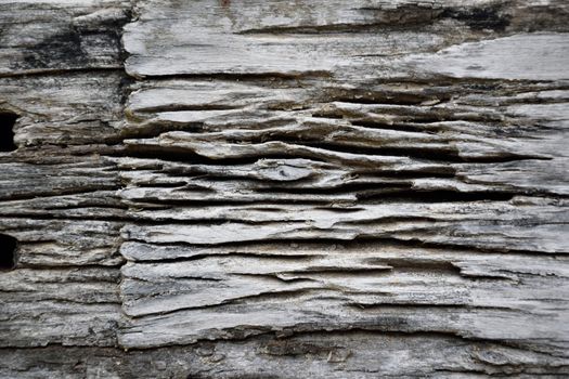 old wooden texture 