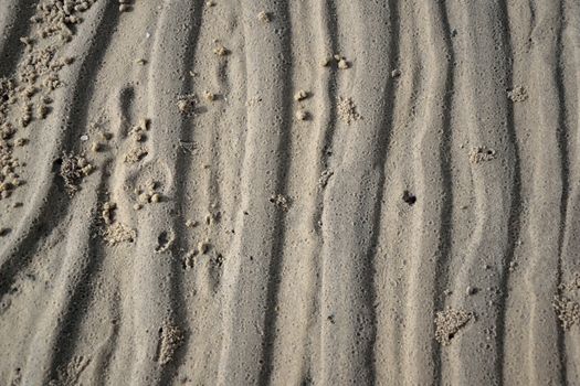 sandy texture of art