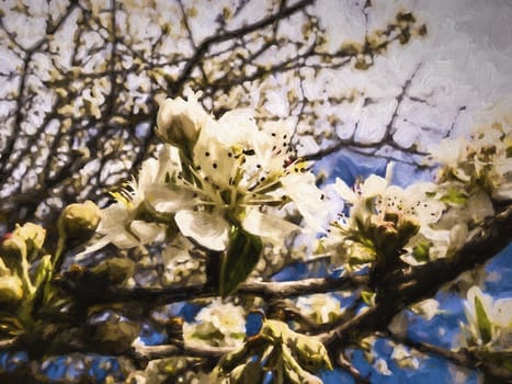 Fruit tree blossoms - spring beginning - painting effect
