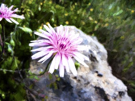 Purple flower in front of a rock - painting effect