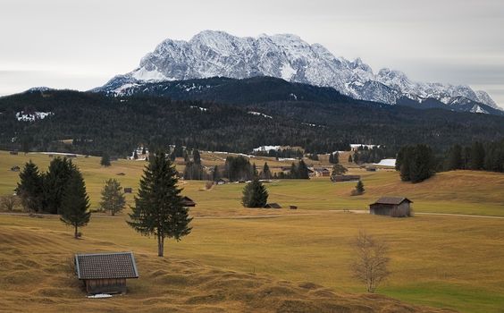 Alpine grassland with Karwendel Mountains, Alps, Germany