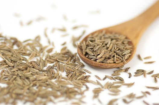 Caraway (Carum carvi) seeds close up isolated on white