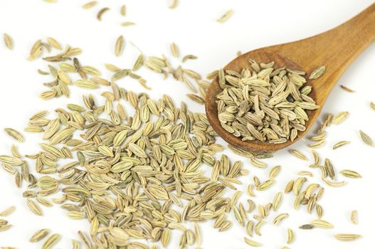 Fennel seeds close up on white background