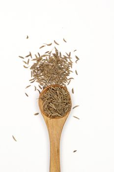 Caraway (Carum carvi) seeds close up isolated on white