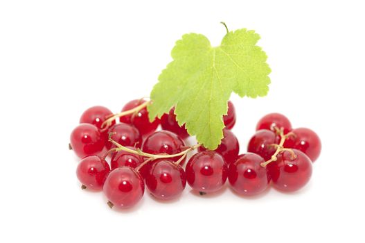 Ripe red currants close up isolated on white