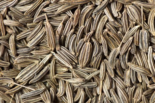Background made of caraway (Carum carvi) seeds 