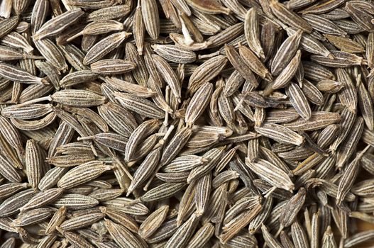 Background made of cumin seeds close up