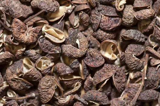 Sichuan pepper (dried seeds) close up