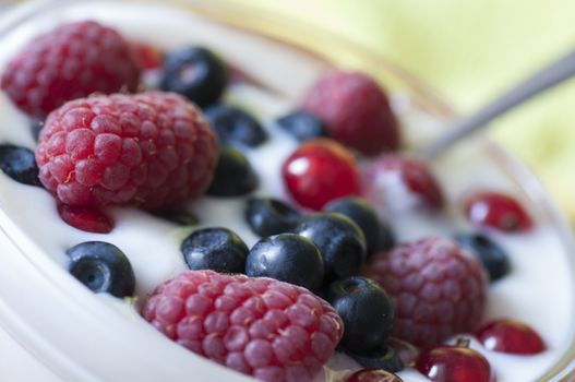 Delicious dessert made of yoghurt and ripe berries (raspberry, red currant and blueberry)