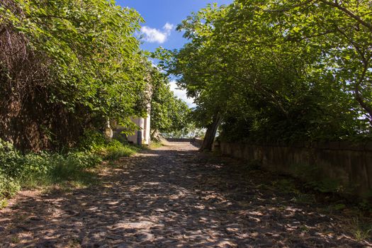 Countryside track in Italy