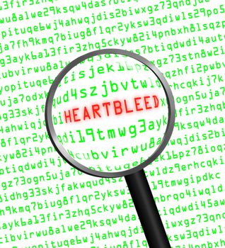 The word "Heartbleed" revealed in computer machine code through a magnifying glass 
