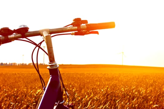 Bike on the field with grass at gold sunset. Summer and sport image.