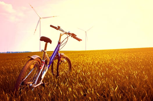 Bike on the field with grass at gold sunset. Summer and sport image. 