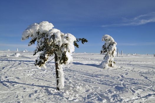 Winter scenery of Tandadalen in Sweden.