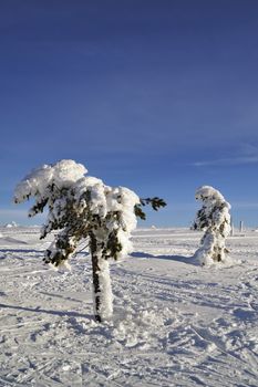 Winter scenery of Tandadalen in Sweden.
